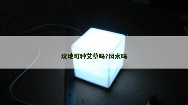 墳地可種艾草嗎?風水嗎
