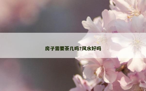 房子需要茶幾嗎?風(fēng)水好嗎