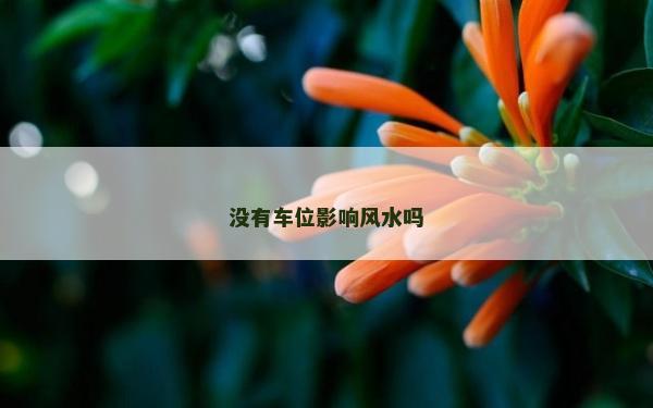 沒有車位影響風水嗎 沒有車位影響風水嗎