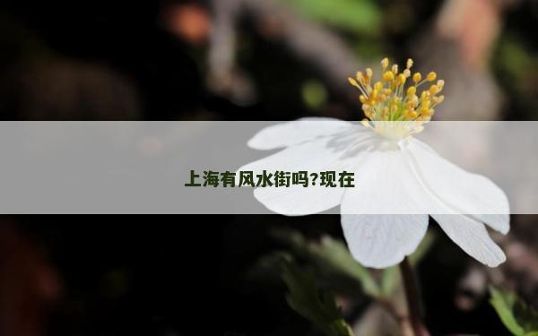 上海有風水街嗎?現在