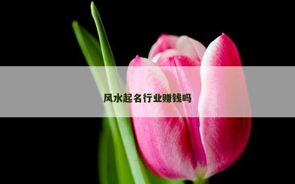 風水起名行業賺錢嗎