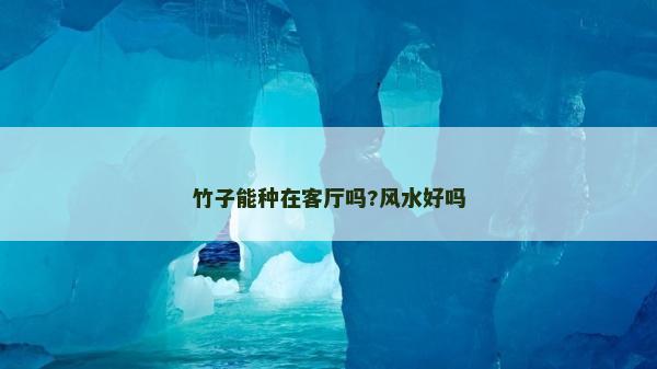竹子能種在客廳嗎?風水好嗎