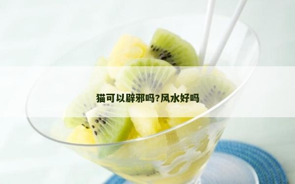貓可以辟邪嗎?風水好嗎