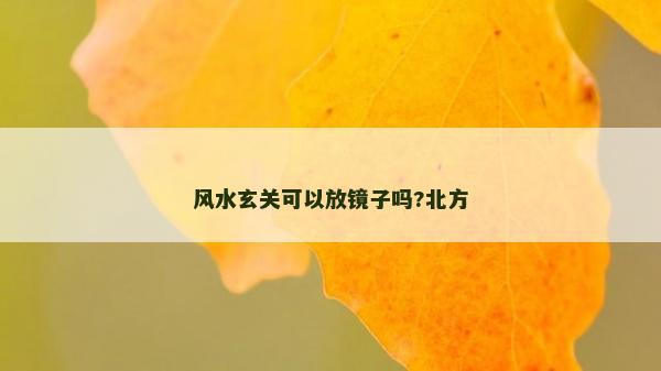 風水玄關可以放鏡子嗎?北方