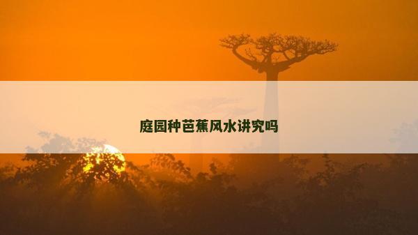 庭園種芭蕉風水講究嗎