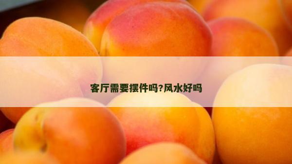 客廳需要擺件嗎?風水好嗎 客廳需要擺件嗎?風水好嗎