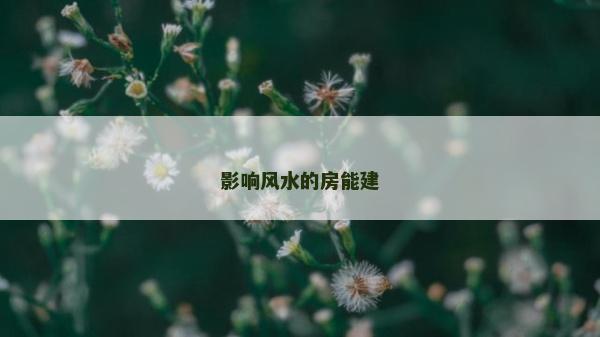影響風(fēng)水的房能建