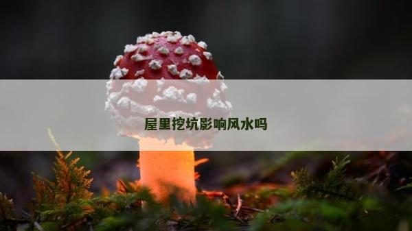 屋里挖坑影響風水嗎