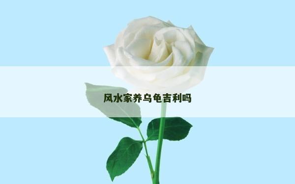 風水家養烏龜吉利嗎 風水家養烏龜吉利嗎