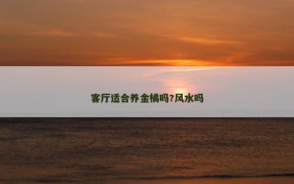 客廳適合養金橘嗎?風水嗎 客廳適合養金橘嗎?風水嗎
