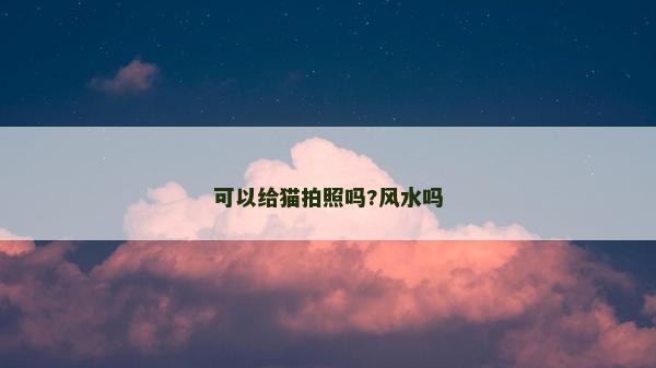 可以給貓拍照嗎?風(fēng)水嗎