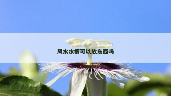 風水水槽可以放東西嗎