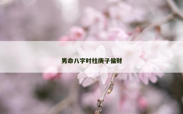 男命八字時柱庚子偏財