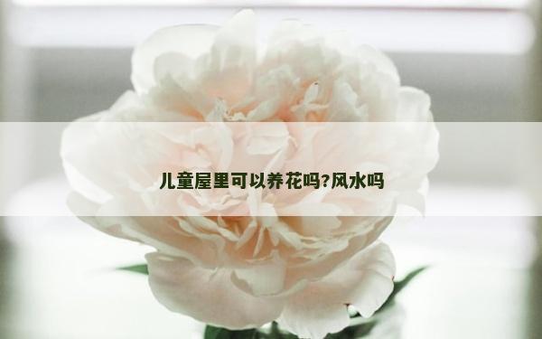 兒童屋里可以養(yǎng)花嗎?風(fēng)水嗎