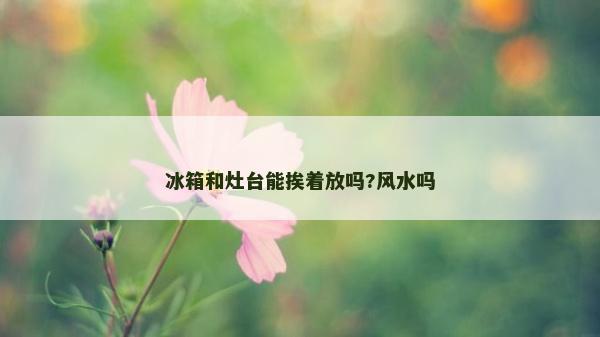 冰箱和灶臺能挨著放嗎?風水嗎 冰箱和灶臺能挨著放嗎?風水嗎
