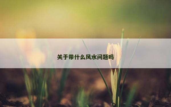 關于帶什么風水問題嗎