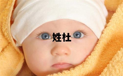 姓杜叫什么名字好 姓杜的男孩有含義的名字