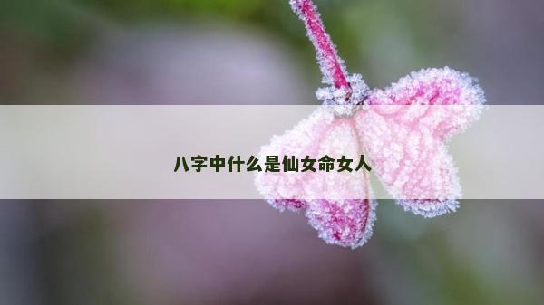 八字中什么是仙女命女人 八字中什么是仙女命女人