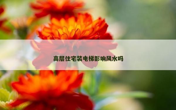 高層住宅裝電梯影響風(fēng)水嗎