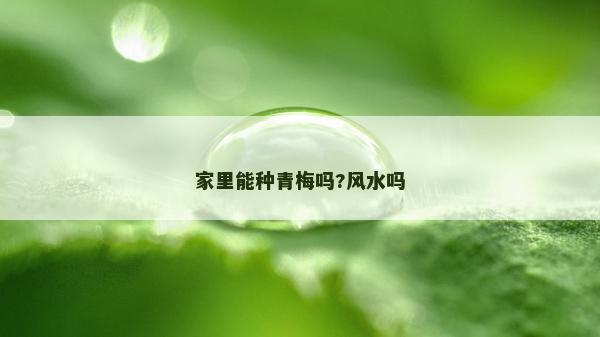 家里能種青梅嗎?風水嗎