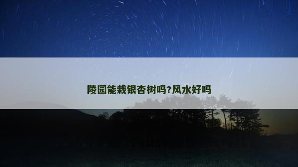 陵園能栽銀杏樹嗎?風(fēng)水好嗎
