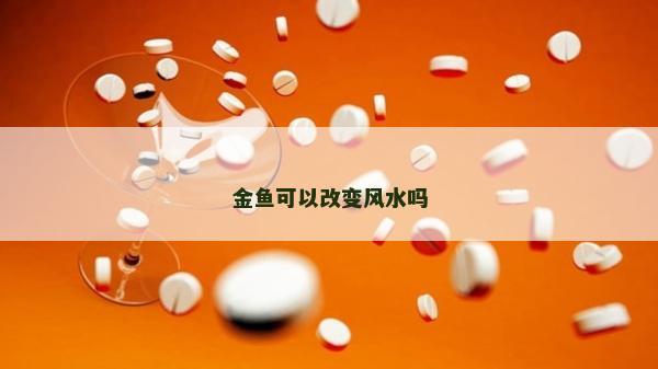 金魚可以改變風水嗎