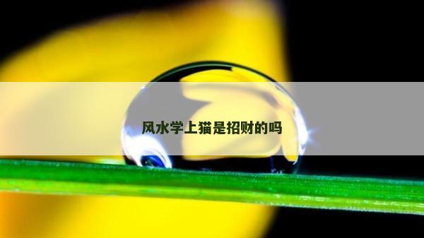 風水學上貓是招財的嗎