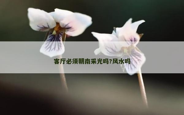 客廳必須朝南采光嗎?風(fēng)水嗎