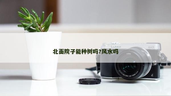 北面院子能種樹嗎?風水嗎 北面院子能種樹嗎?風水嗎