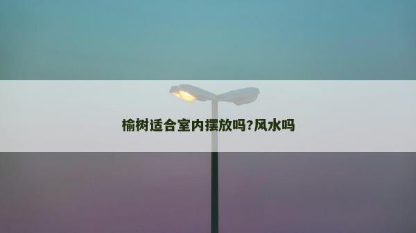 榆樹適合室內擺放嗎?風水嗎