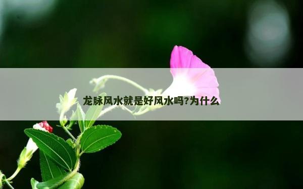 龍脈風水就是好風水嗎?為什么