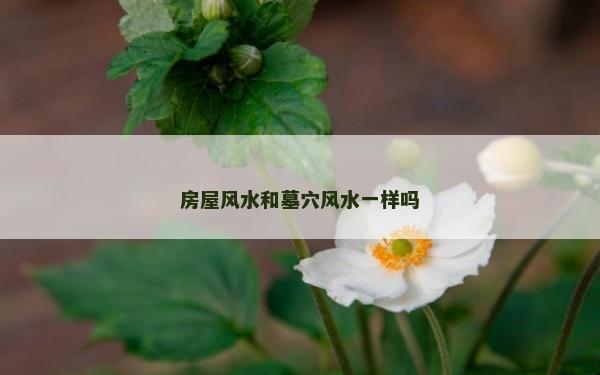 房屋風(fēng)水和墓穴風(fēng)水一樣嗎
