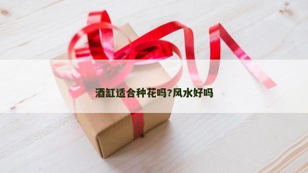 酒缸適合種花嗎?風水好嗎