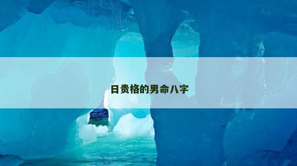 日貴格的男命八字