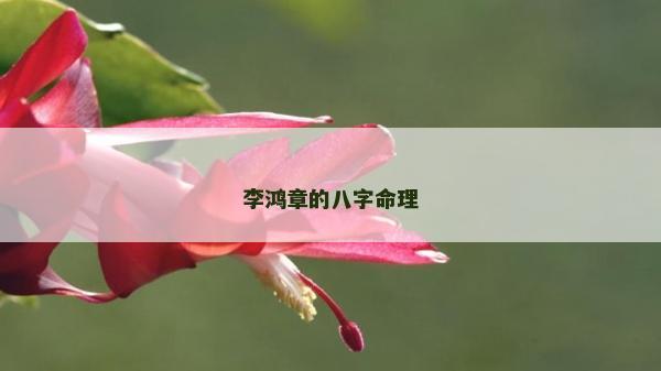李鴻章的八字命理 李鴻章的八字命理