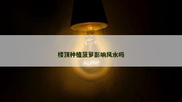 樓頂種植菠蘿影響風水嗎 樓頂種植菠蘿影響風水嗎
