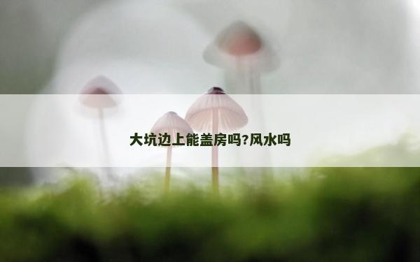 大坑邊上能蓋房嗎?風(fēng)水嗎 大坑邊上能蓋房嗎?風(fēng)水嗎