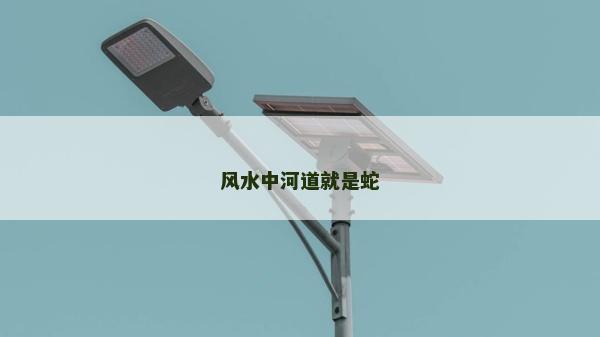 風水中河道就是蛇