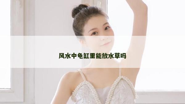 風水中龜缸里能放水草嗎