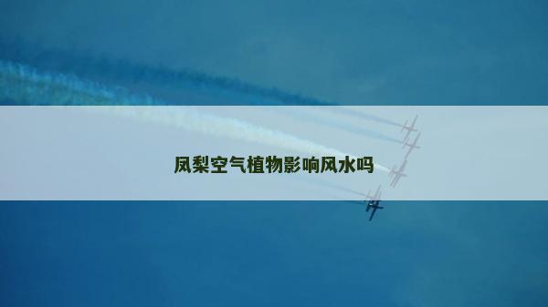 鳳梨空氣植物影響風(fēng)水嗎