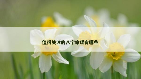 值得關(guān)注的八字命理有哪些