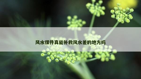 風(fēng)水?dāng)[件真能補救風(fēng)水差的地方嗎 風(fēng)水?dāng)[件真能補救風(fēng)水差的地方嗎