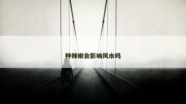 種辣椒會影響風水嗎