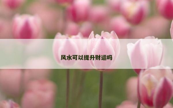 風水可以提升財運嗎