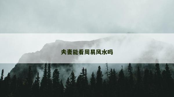 夫妻能看周易風水嗎