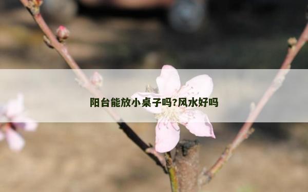 陽臺能放小桌子嗎?風(fēng)水好嗎