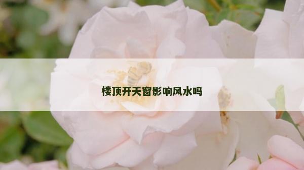 樓頂開天窗影響風水嗎
