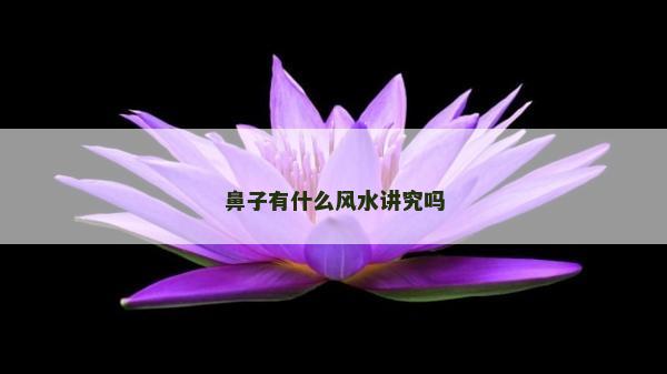 鼻子有什么風水講究嗎