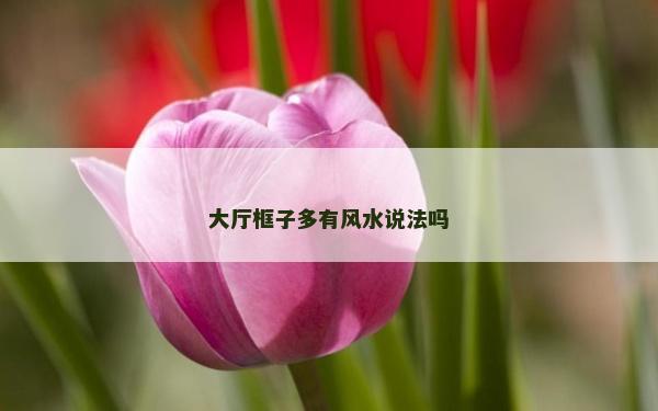 大廳框子多有風水說法嗎 大廳框子多有風水說法嗎