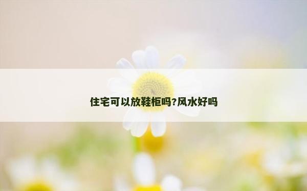 住宅可以放鞋柜嗎?風水好嗎